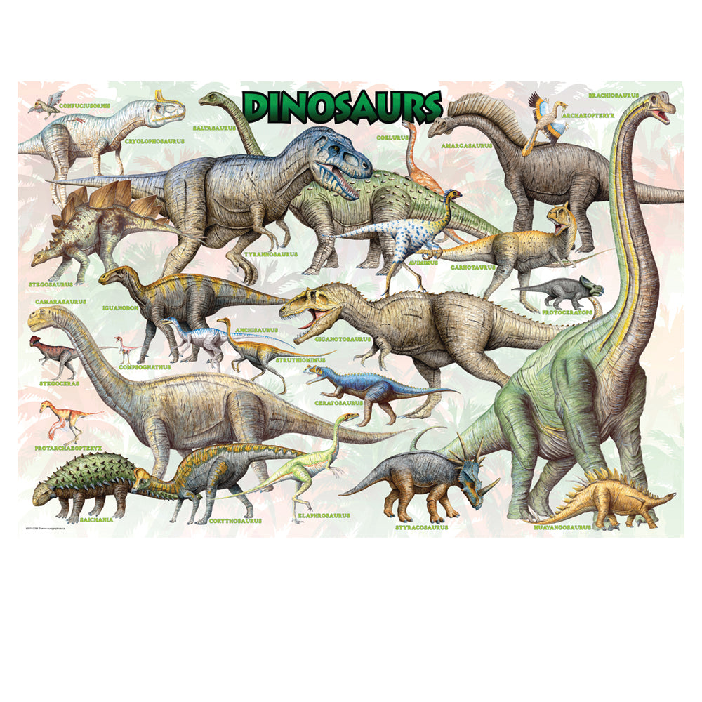 Illustration of various dinosaurs with labels on a white background