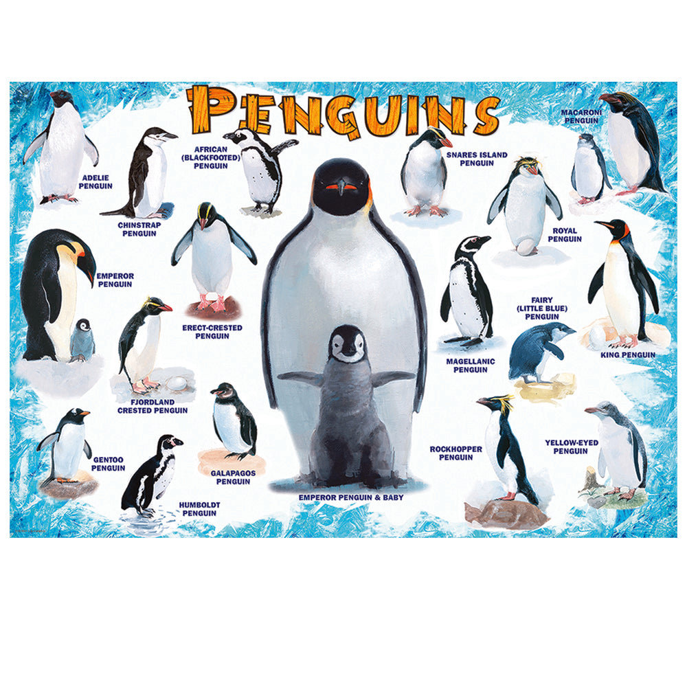 Puzzle featuring chart of various penguin species with labels of each on a blue and white background