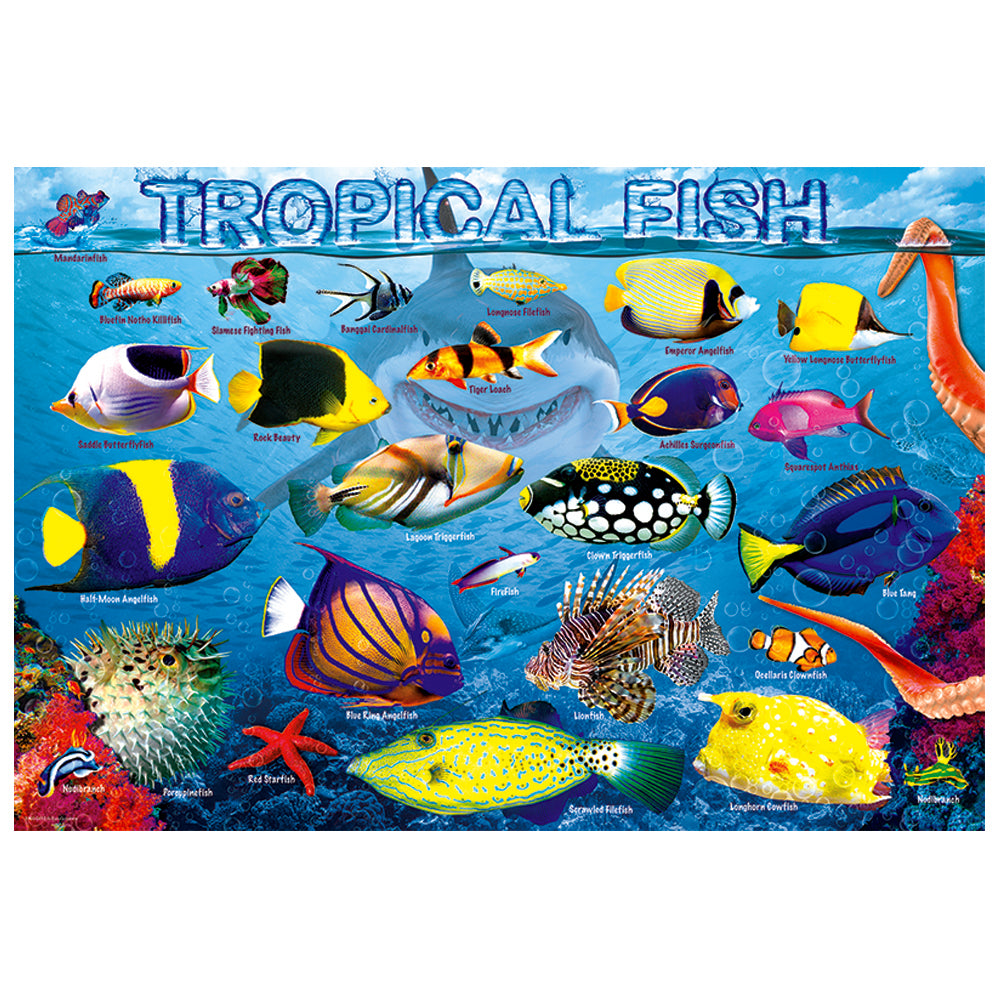 Puzzle featuring Colorful illustration of tropical fish with names of each on a blue background