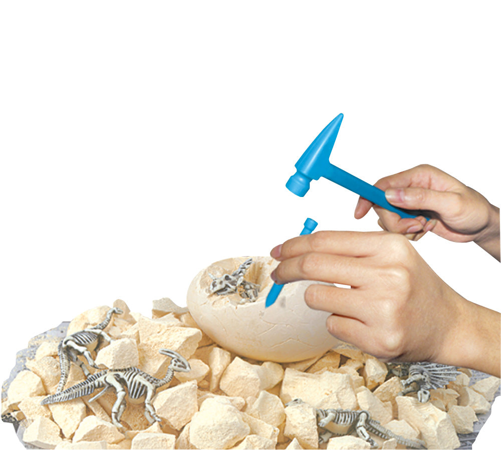 Assorted Plastic Dinosaur Fossils Embedded inside a Breakable Egg which can be Dug Out with the included Hammer and Chisel.