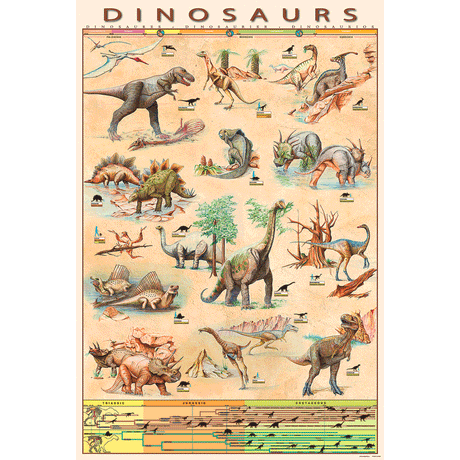 24 x 36 inch Non-Laminated Paper Poster Depicting Various Dinosaurs from the Triassic, Jurassic and Cretaceous Periods by EuroGraphics.