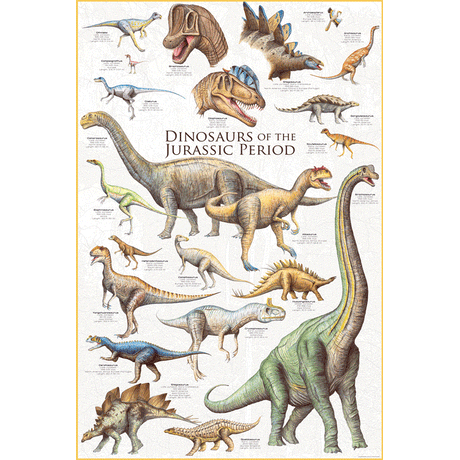 24 x 36 inch Non-Laminated Paper Poster Depicting Various Dinosaurs from the Jurassic Period by EuroGraphics.