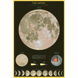 1,000 Piece Jigsaw Puzzle made from Recycled Paper depicting the Lunar Surface along with Important Geographical Locations and Diagrams of the Core and Moon Phases by EuroGraphics