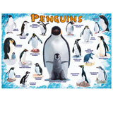 Puzzle featuring chart of various penguin species with labels of each on a blue and white background