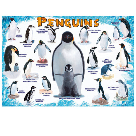 Puzzle featuring chart of various penguin species with labels of each on a blue and white background