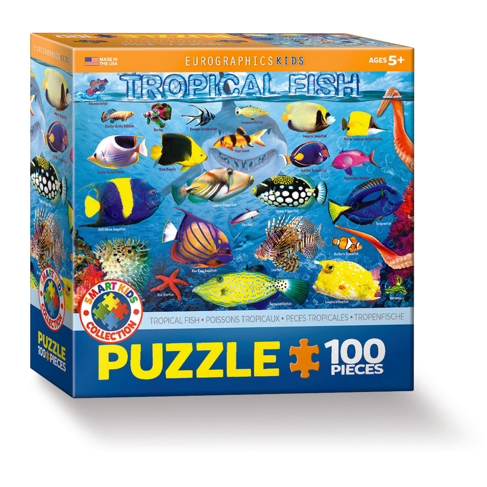 Puzzle box with tropical fish design on a white background