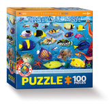 Puzzle box with tropical fish design on a white background