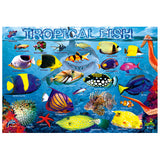 Puzzle featuring Colorful illustration of tropical fish with names of each on a blue background