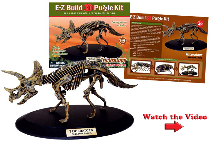 NUOVO ~ 3d T-Rex modello pezzi mobili 41 Puzzle che crea un giocattolo per mantiene 